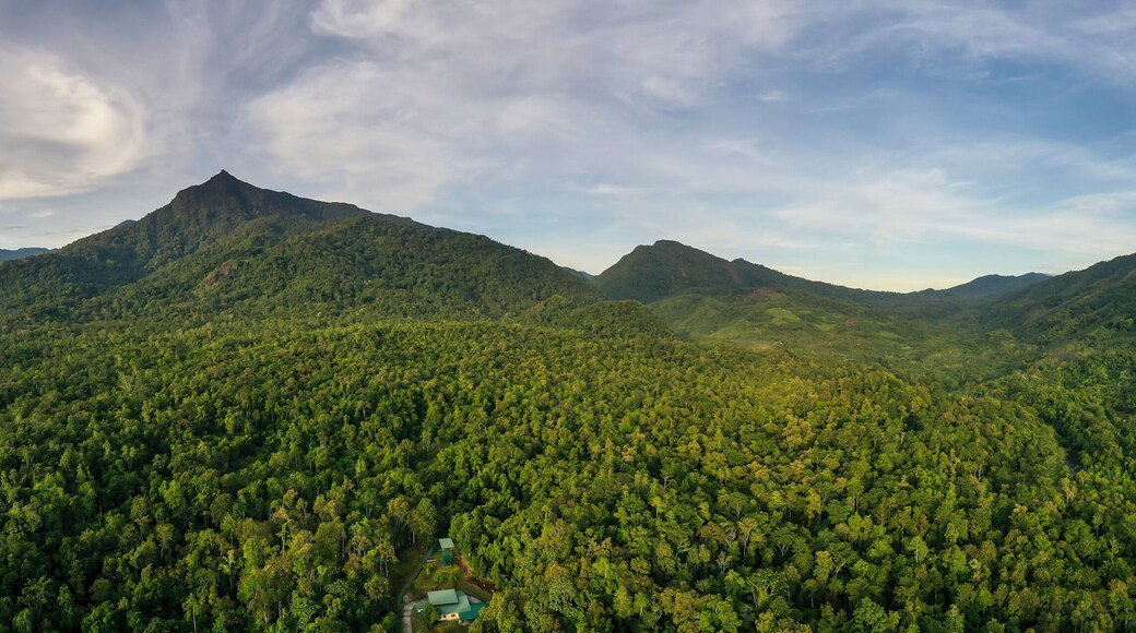 Scenic view of Mount Nambuyukon surrounded by lush tropical rainforest in Serinsim, Kota Marudu, Sabah, Malaysia. Beautiful mountain landscape with rich greenery under blue sky.