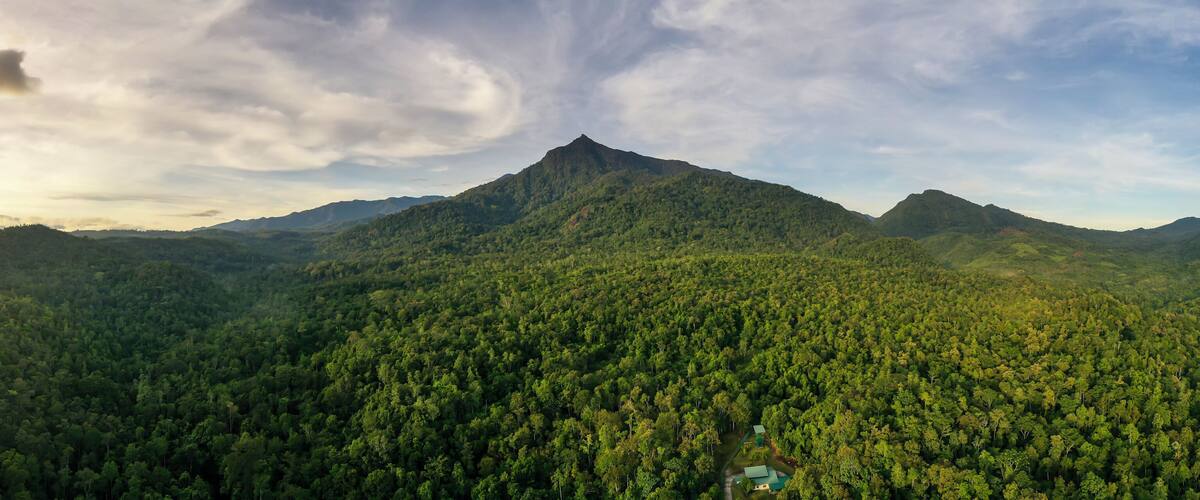 Scenic view of Mount Nambuyukon surrounded by lush tropical rainforest in Serinsim, Kota Marudu, Sabah, Malaysia. Beautiful mountain landscape with rich greenery under blue sky.