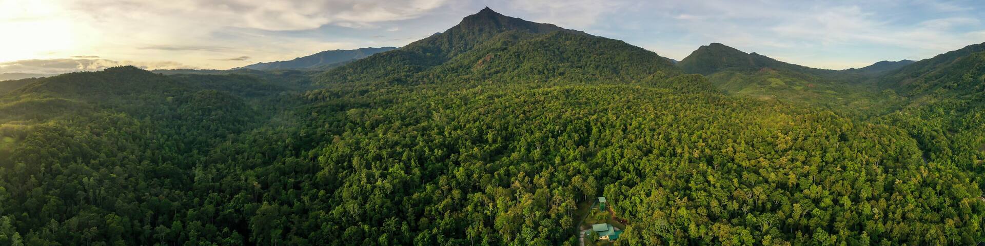 Scenic view of Mount Nambuyukon surrounded by lush tropical rainforest in Serinsim, Kota Marudu, Sabah, Malaysia. Beautiful mountain landscape with rich greenery under blue sky.