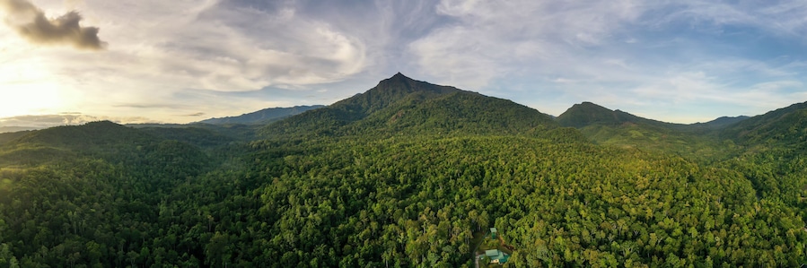 Scenic view of Mount Nambuyukon surrounded by lush tropical rainforest in Serinsim, Kota Marudu, Sabah, Malaysia. Beautiful mountain landscape with rich greenery under blue sky.
