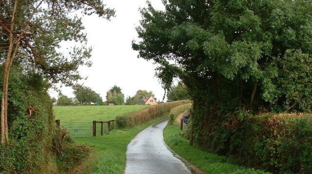 Road into Kettlebaston Country road into Kettlebaston Suffolk.