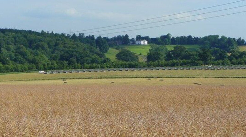 Layers of land use In this view south towards Pengethley Hotel in the distance there are several different uses of the land. From bottom; mature rape, harvested barley, hay or silage, free-range poultry huts, and finally the parkland surrounding Pengethley.
