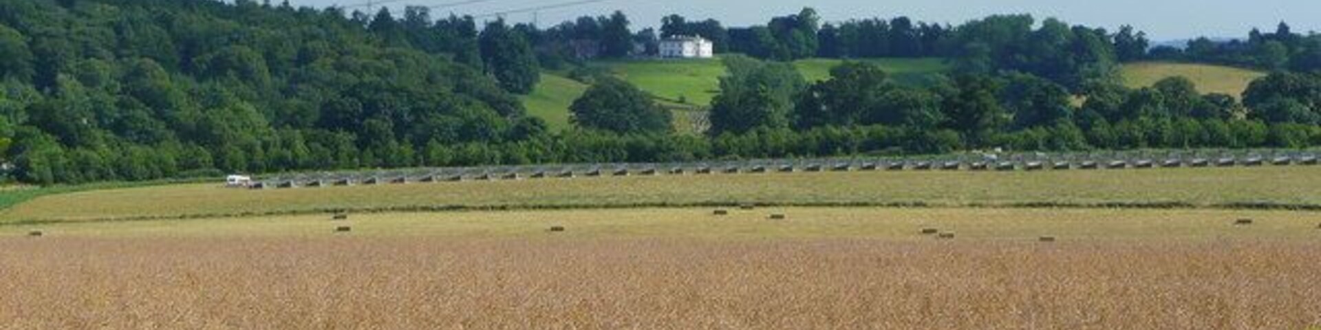 Layers of land use In this view south towards Pengethley Hotel in the distance there are several different uses of the land. From bottom; mature rape, harvested barley, hay or silage, free-range poultry huts, and finally the parkland surrounding Pengethley.