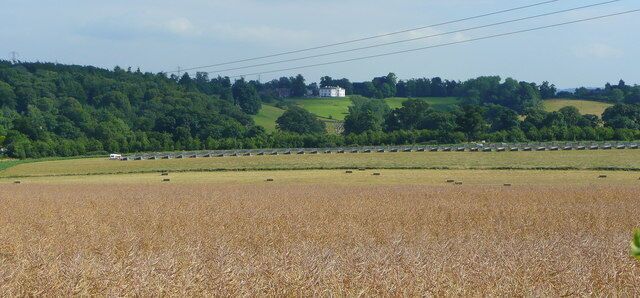A rural landscape with a field of crops, a line of parked cars, and a house on a hill.