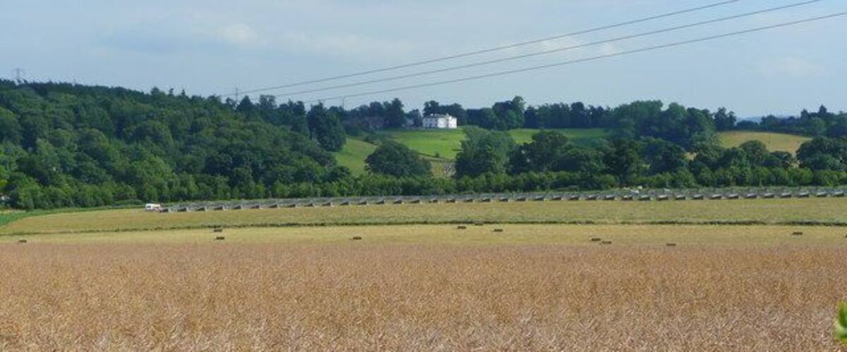 A rural landscape with a field of crops, a line of parked cars, and a house on a hill.