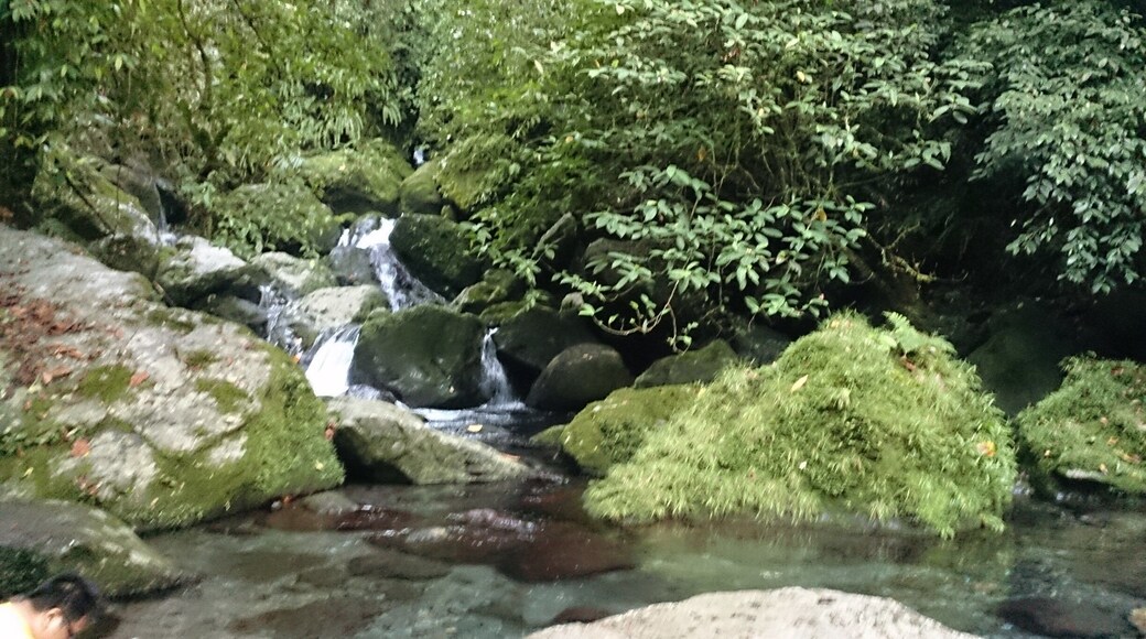 It's crystal clear!! And icy cold!! #inthetropics