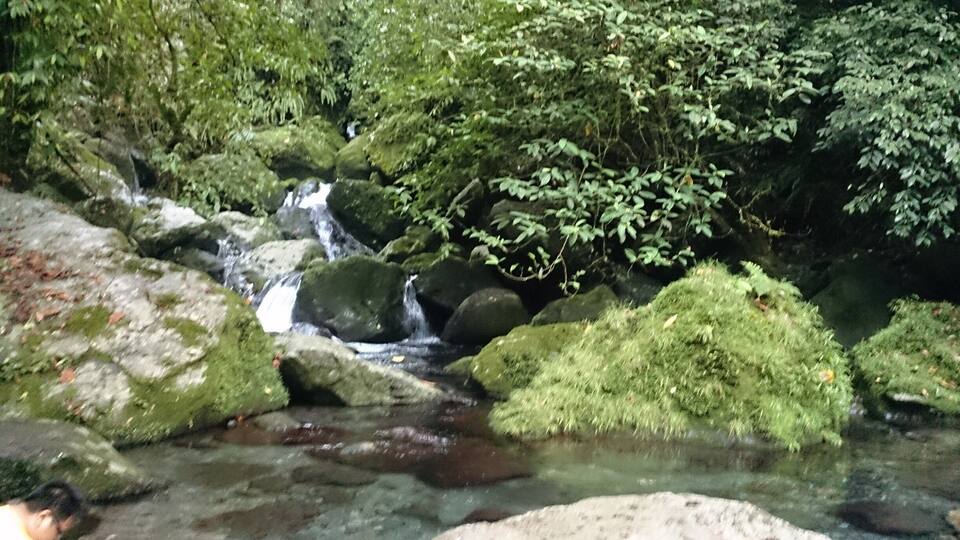 A small stream flowing over rocks in a forested area.