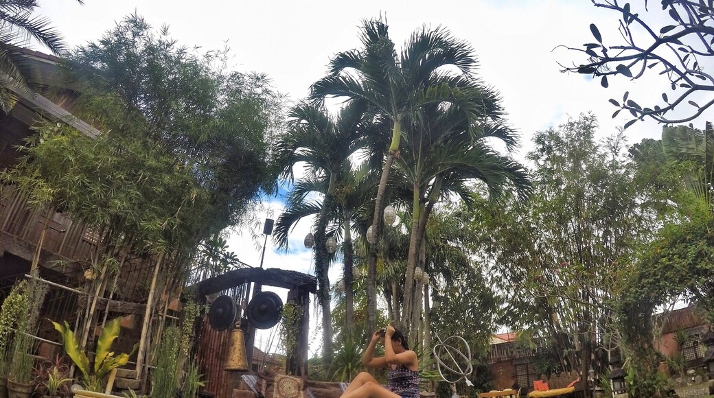 What I miss about my home country is the abundance of the greeneries that obviously is the exact opposite of where I am now