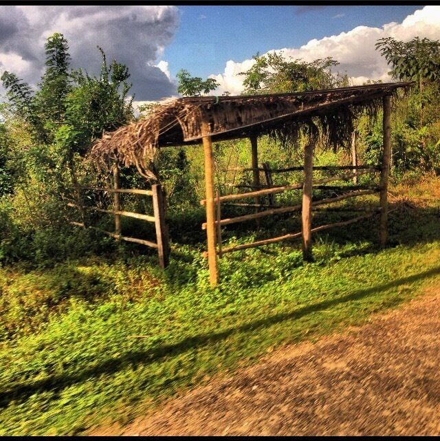 Somewhere in Belize.  