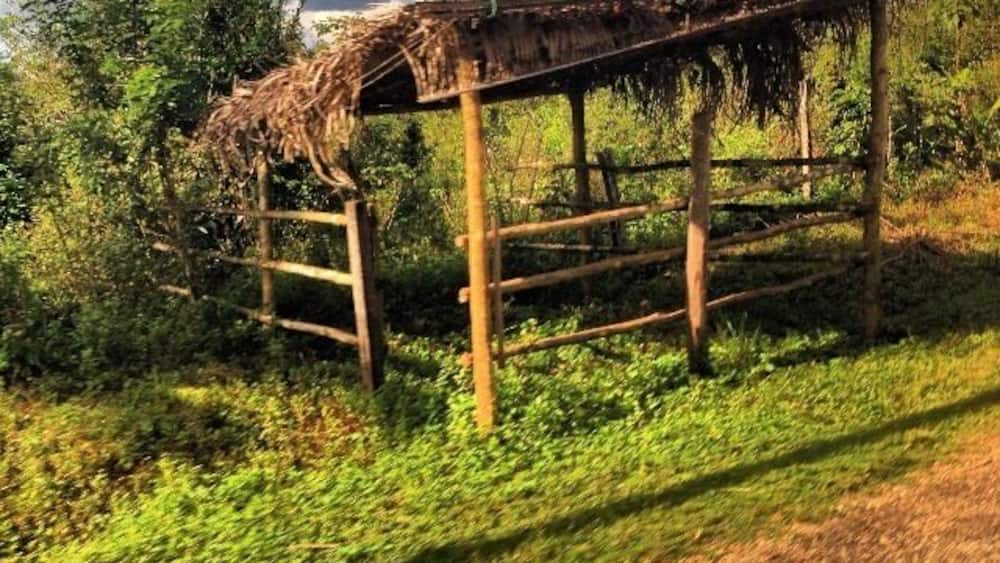 Somewhere in Belize.