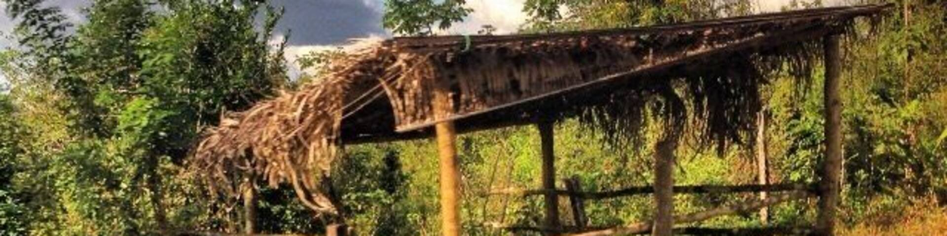 Somewhere in Belize.