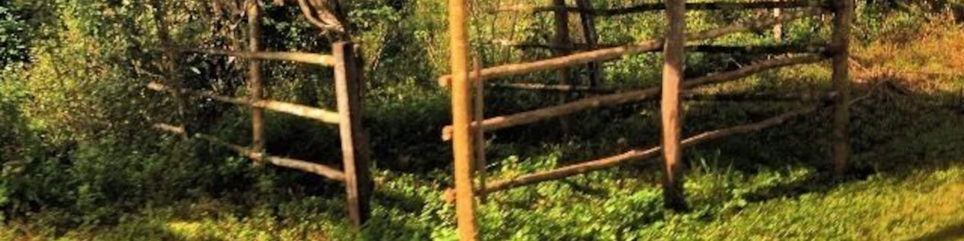 Somewhere in Belize.