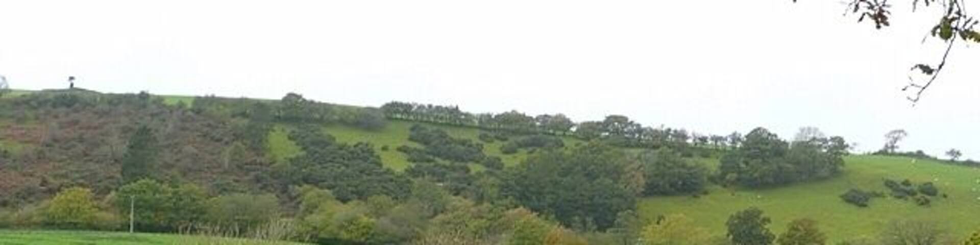 Towards Rheol Rheol is the name of the white farm building in Cwm Dulas with the contours rising steeply beyond.