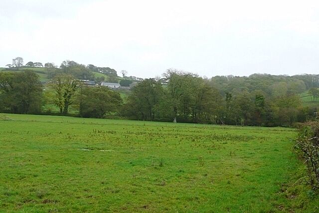 Towards Cildderi The Afon Dulas runs in the hedge at the bottom of the field, with the farm Cildderi on the hillside beyond.