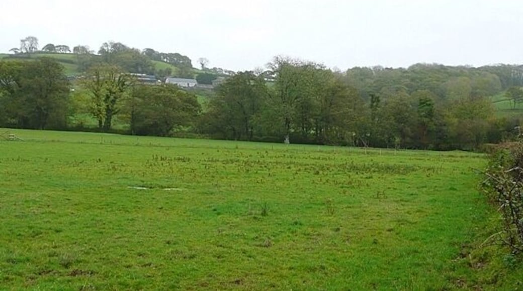 Towards Cildderi The Afon Dulas runs in the hedge at the bottom of the field, with the farm Cildderi on the hillside beyond.