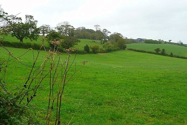 Towards Penylan Slightly steeper land here, but still pasture, dropping away from Penylan Home Farm on the hill top.
