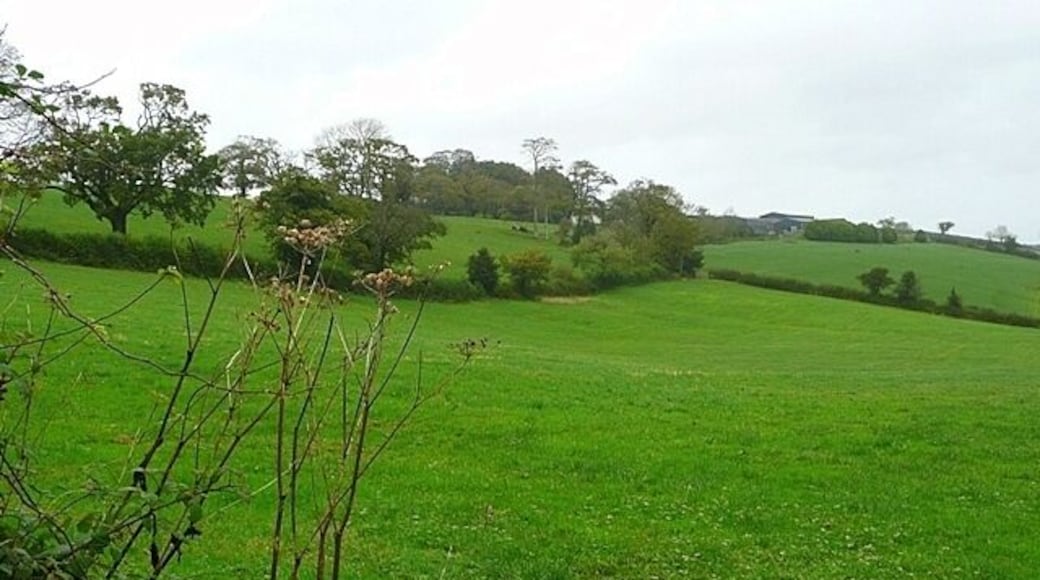 Towards Penylan Slightly steeper land here, but still pasture, dropping away from Penylan Home Farm on the hill top.