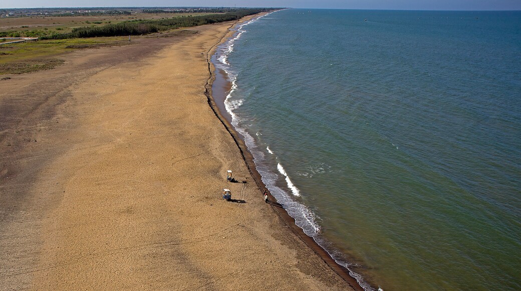 Aerial view of the golden sandy beach meeting the turquoise sea with gentle waves under a vast sky, Karaikal, Puducherry, India.