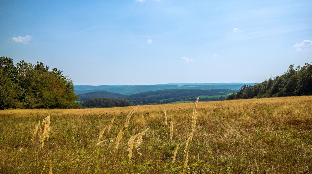 View from Vetrnik Cizov