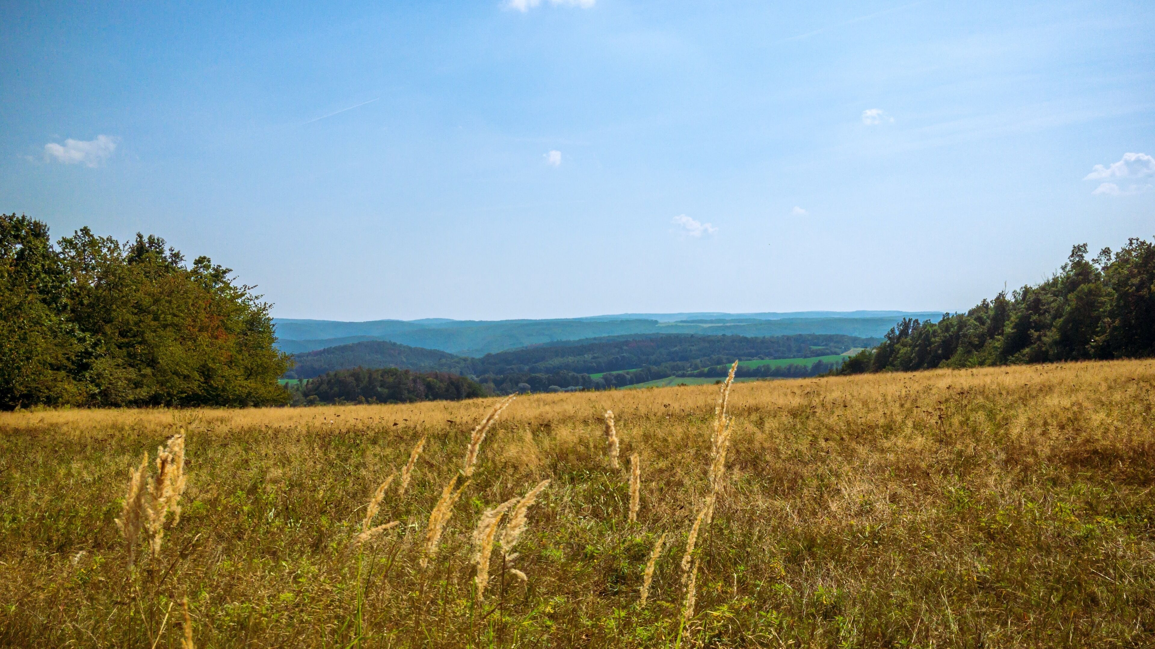 A grassy field with a clear sky and distant hills.
