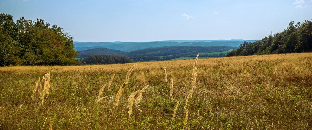 A grassy field with a clear sky and distant hills.