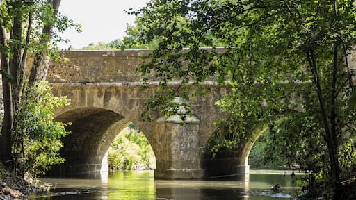 Pont de la Bellassière de Crécy-Couvé