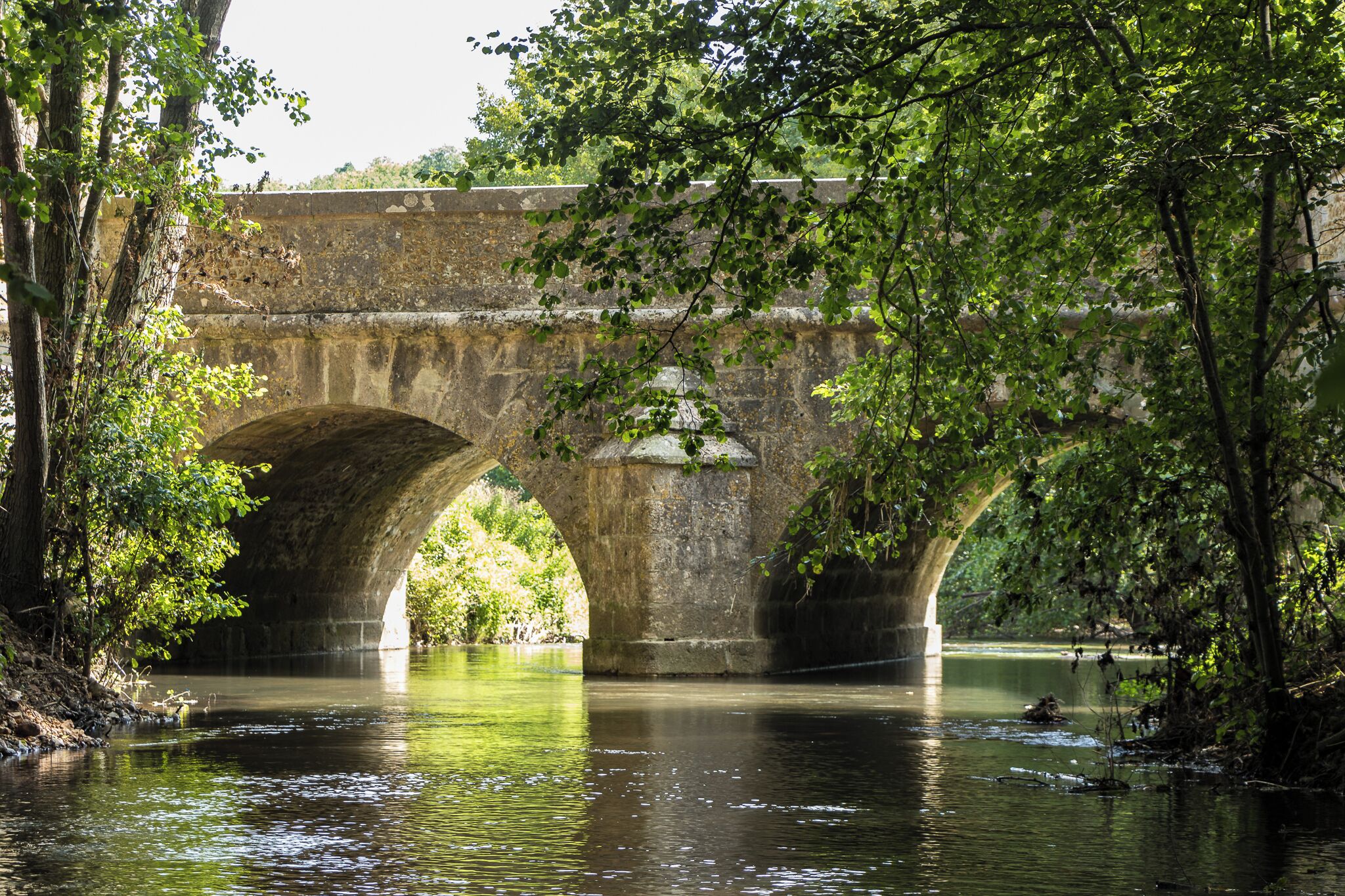 A stone bridge over a calm river, surrounded by lush greenery.