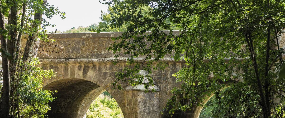A stone bridge over a calm river, surrounded by lush greenery.