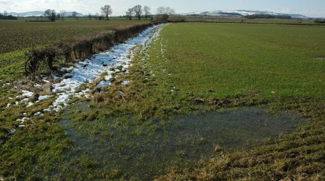 Arable land near Murcot Without livestock to contain the hedgerow is broken on the left. Cotswold outliers can be seen in the background including Dumbleton Hill and the largest outlier, Bredon Hill.