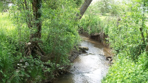 Badsey Brook