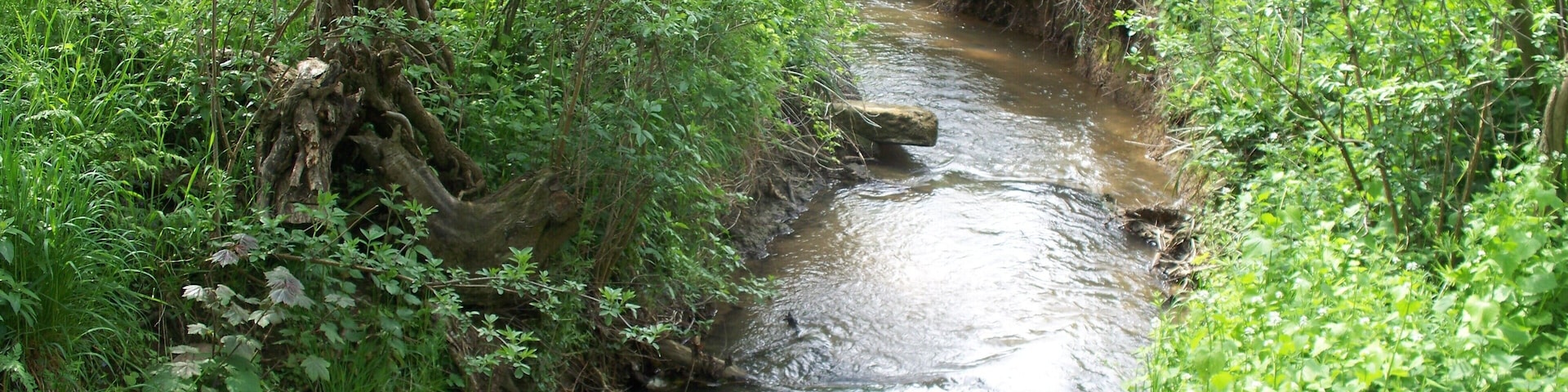Badsey Brook