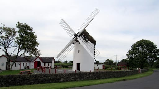We were in Northern Roscommon County Ireland doing some Family Ancestry Research when we came across the Elphin Windmill, this is off the beaten track but worth the stop, the local guide will take up up three flights of internal stairs to see all the inner workings of this Windmill.