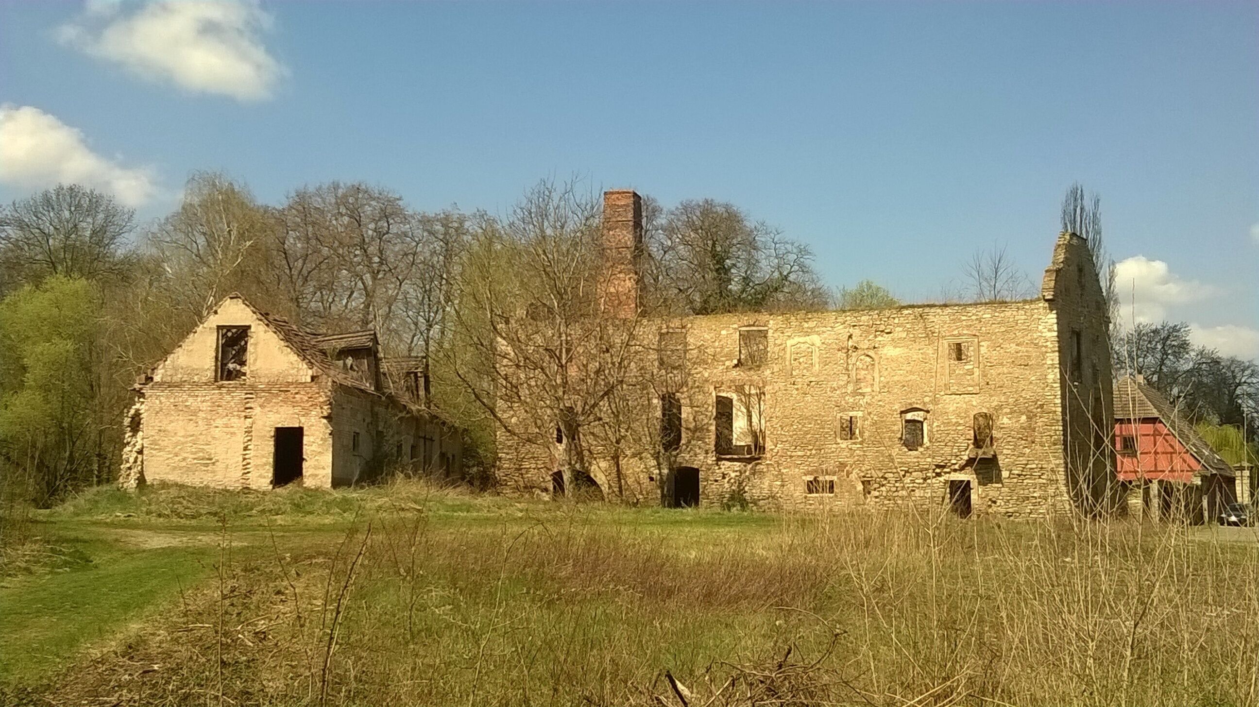 An abandoned stone building with a chimney, surrounded by trees and overgrown grass.