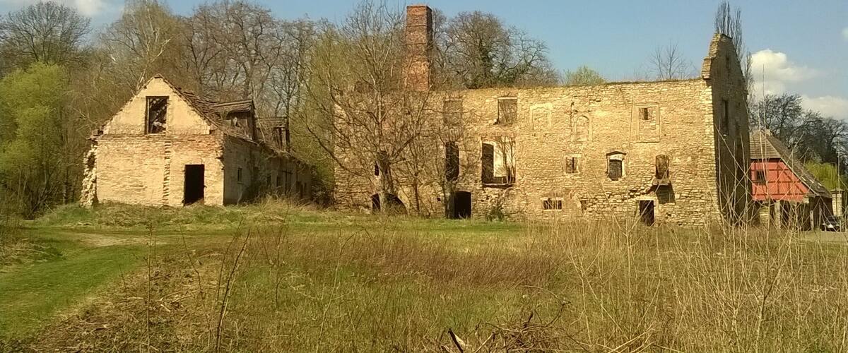 An abandoned stone building with a chimney, surrounded by trees and overgrown grass.