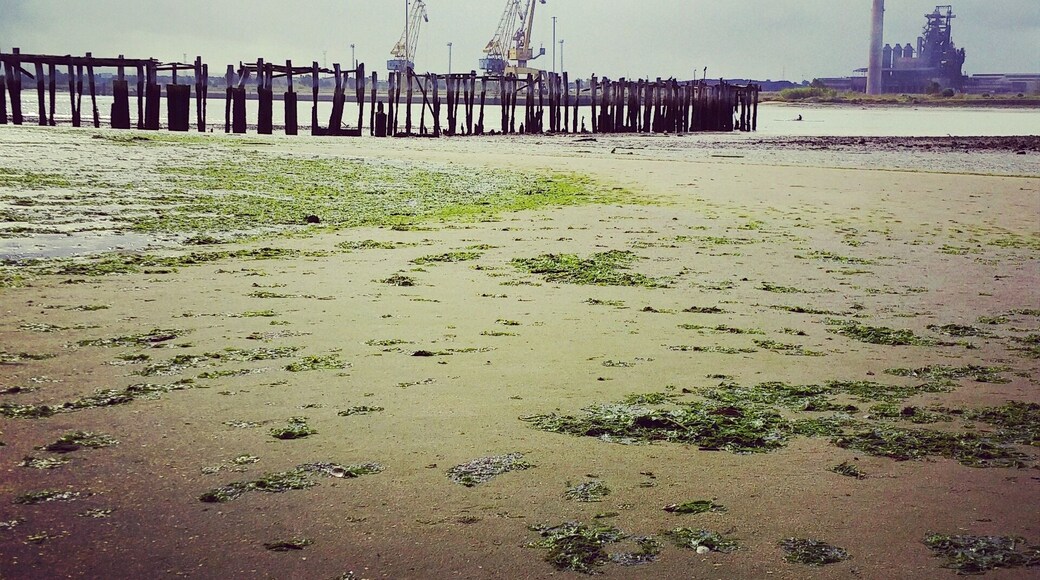 View from Quinta da Lomba (Santo André) beach