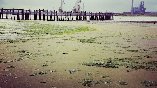 View from Quinta da Lomba (Santo André) beach