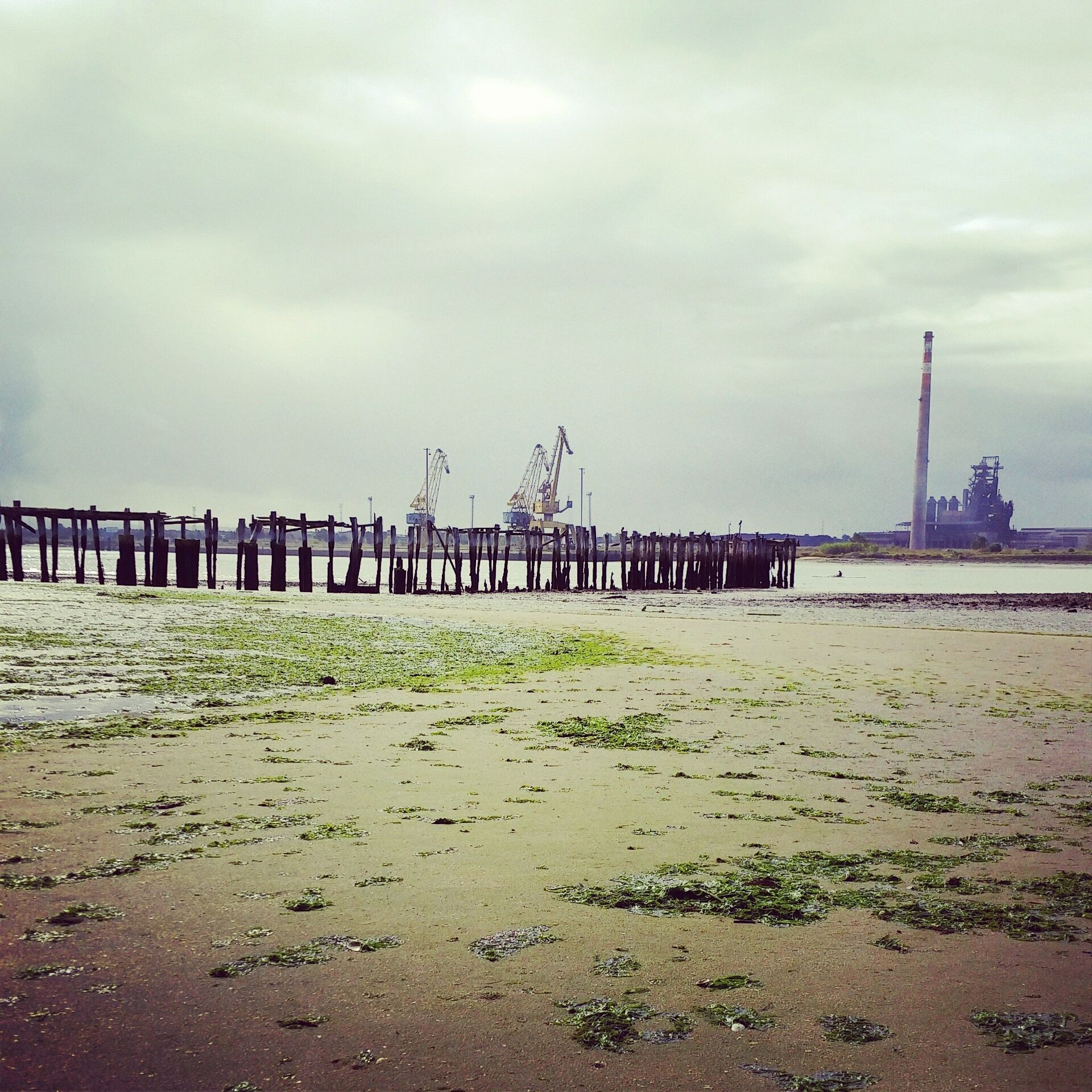 A beach with a wooden pier extending into the water, a crane, and a smokestack in the background.