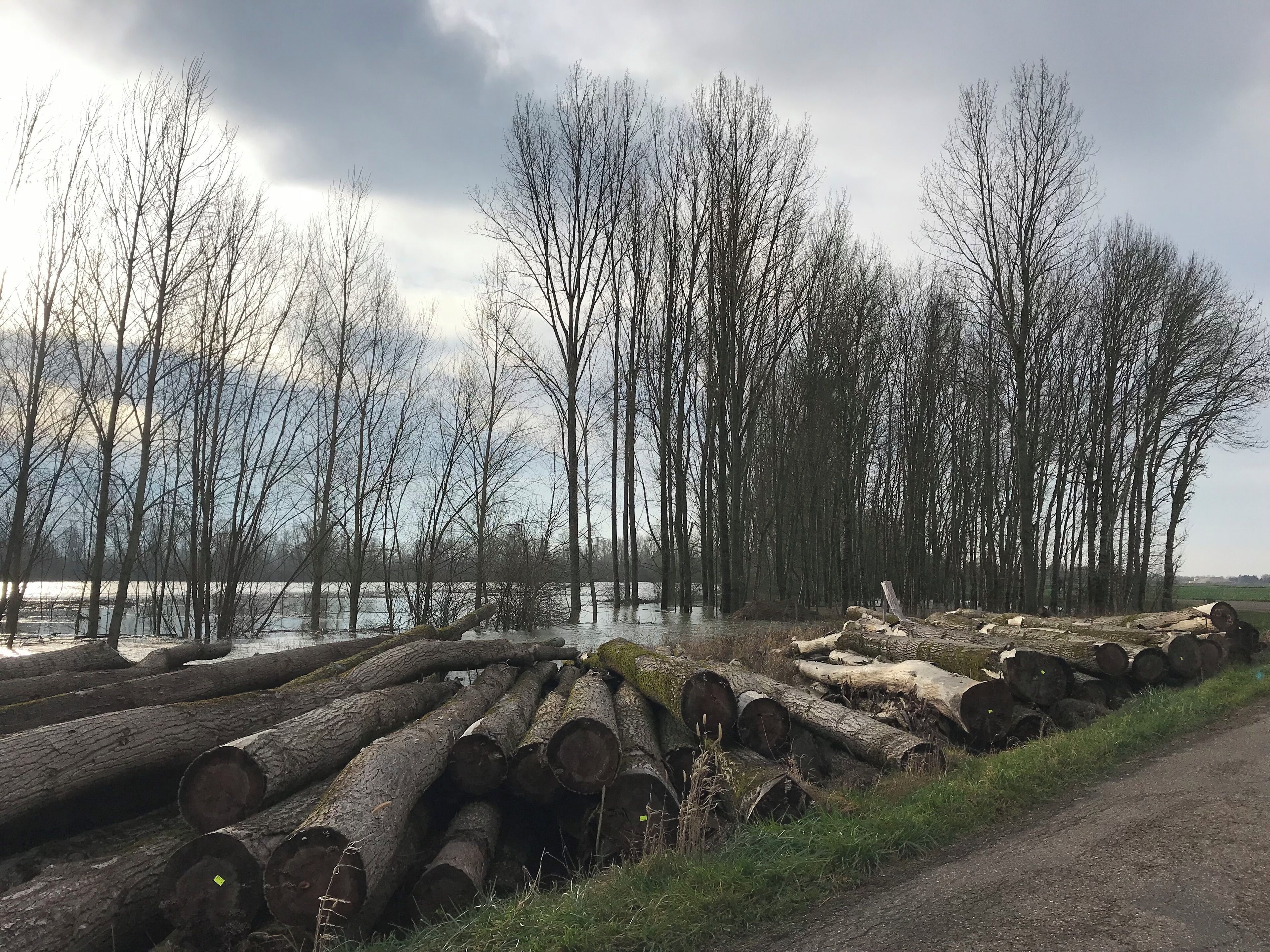 Image de Champdivers (Jura) en janvier 2018.