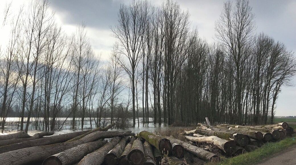 Image de Champdivers (Jura) en janvier 2018.