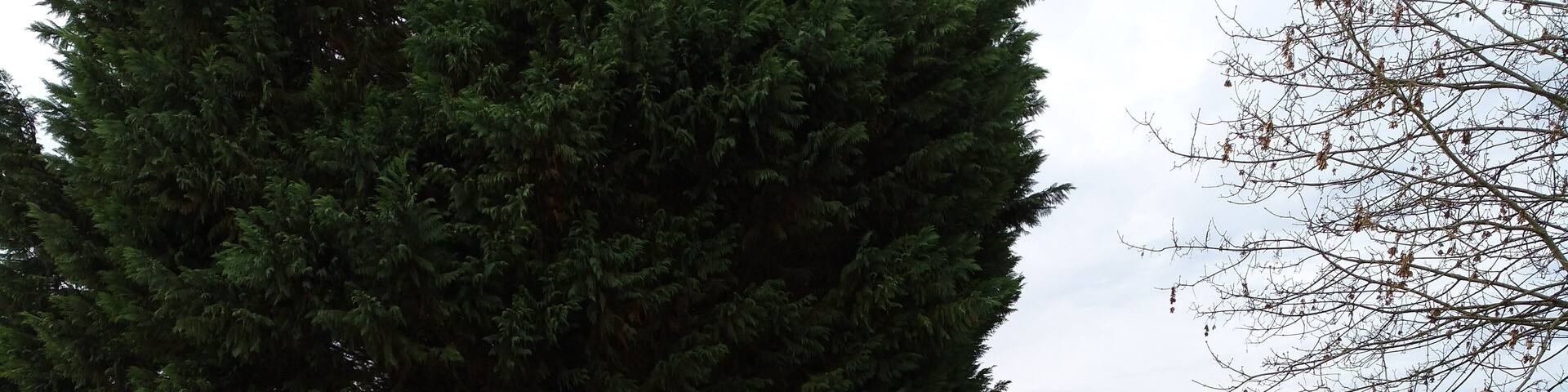 Molay (Jura, France) en janvier 2018.