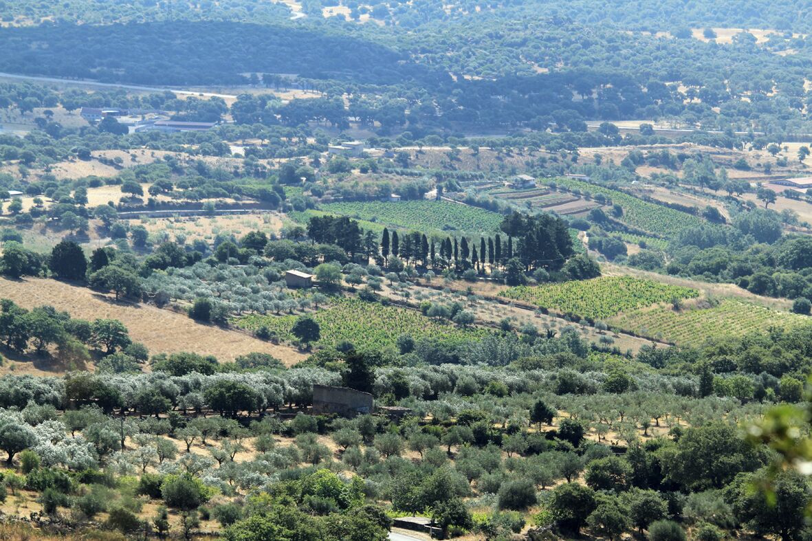 Bono area countryside