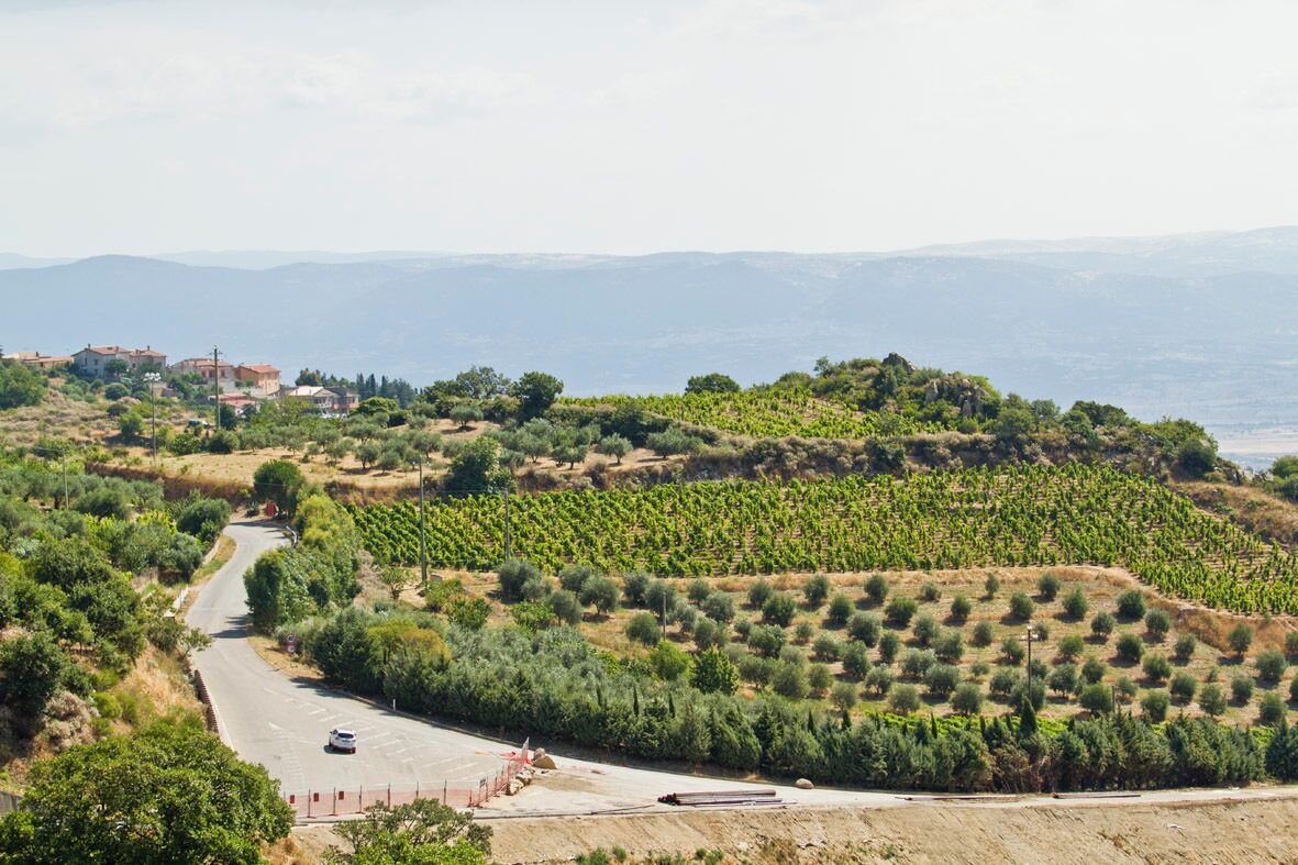 Bono area countryside, Bottidda, Province of Sassari, Sardnia, Italy