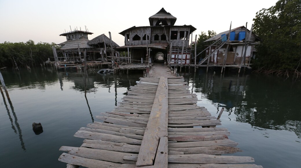 Lamin