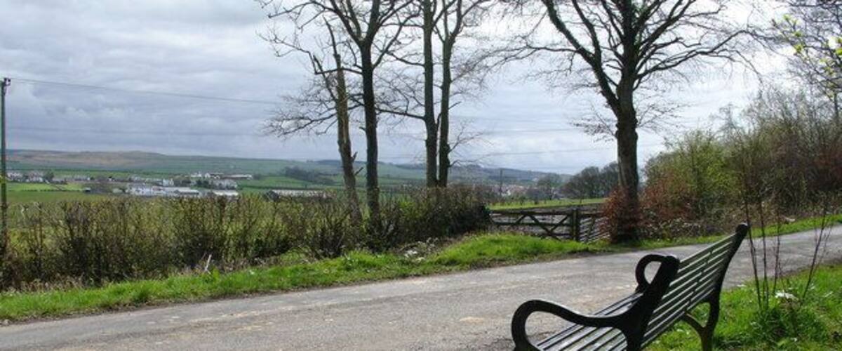 A bench by a rural road with a view of fields and trees.