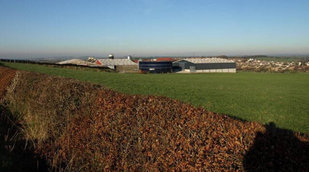 Highpark Farm Coylton beyond.