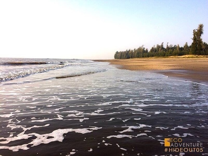 Beautiful #IndianOcean under your feet as you campout gazing stars in the dark blue skies!
#Hideout05
#EcoAdventure
www.ecoadventure.in