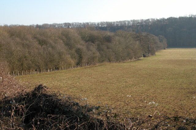 Embankment from the old Ross to Hereford railway. The wooded bank running through the middle of this picture is the embankment of the old Ross to Hereford railway. Beyond the embankment the line crossed the River Wye and then went into a tunnel.