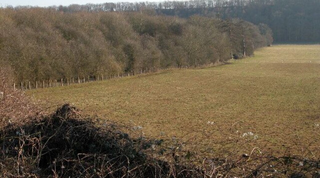 Embankment from the old Ross to Hereford railway. The wooded bank running through the middle of this picture is the embankment of the old Ross to Hereford railway. Beyond the embankment the line crossed the River Wye and then went into a tunnel.