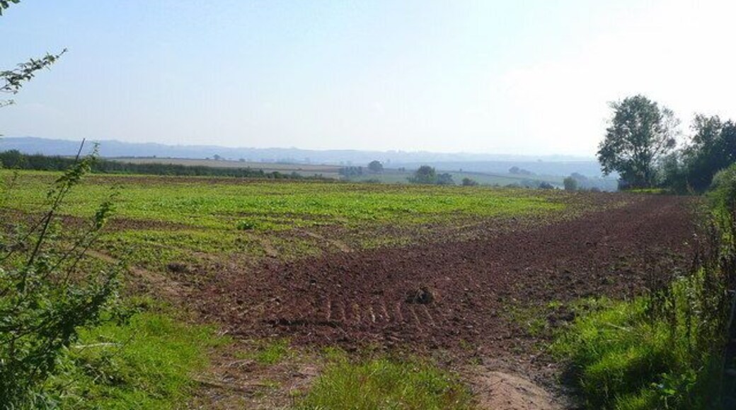 Arable field north of Pen-allt Looking along the line of a public footpath to Pen-allt. The farmer has cultivated the land right up to the hedge on the right.