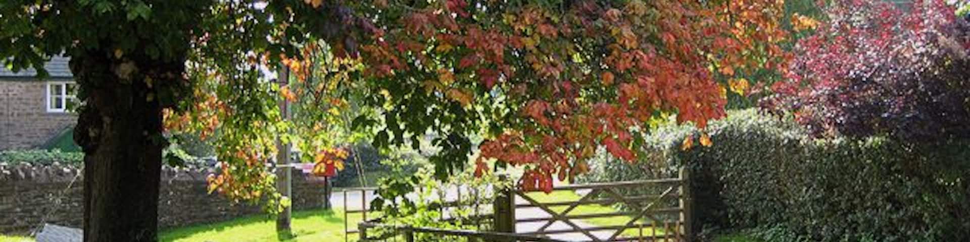 There could be worse spots... ...to sit and wait for the pub to open. The seats are outside the pub, The Cottage of Content, by the brook in the hamlet of Carey.